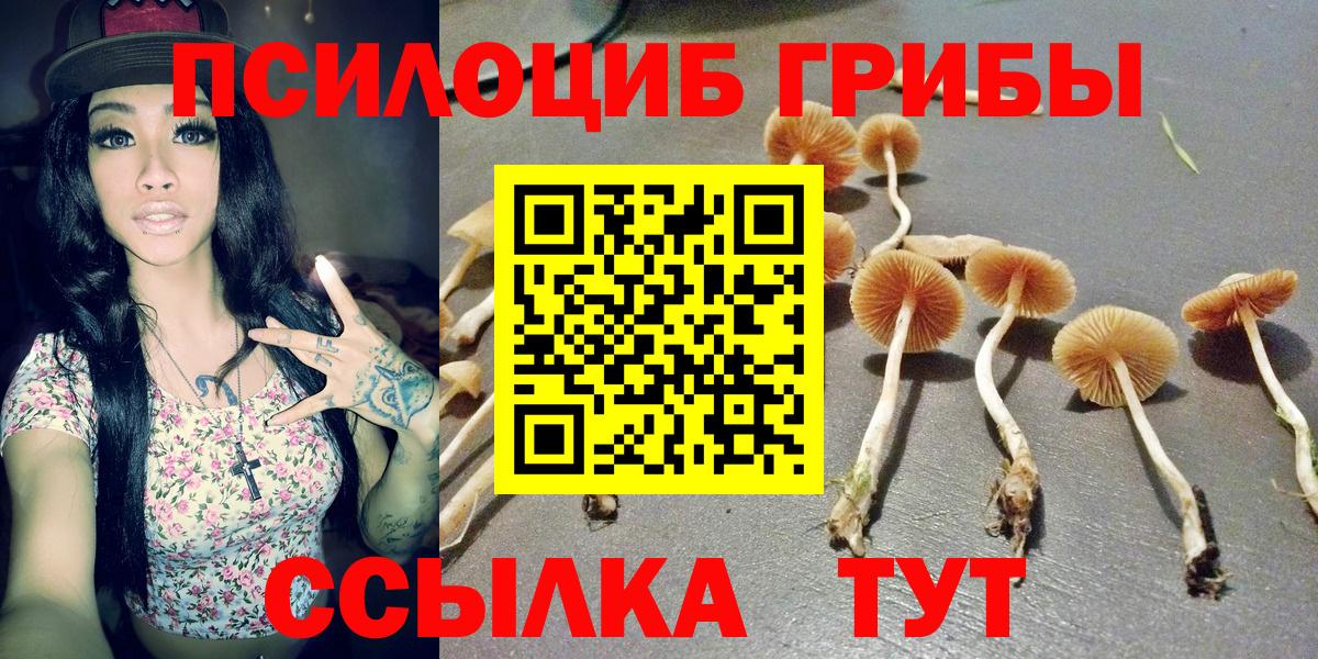 Галлюциногенные грибы Magic Shrooms Боровичи
