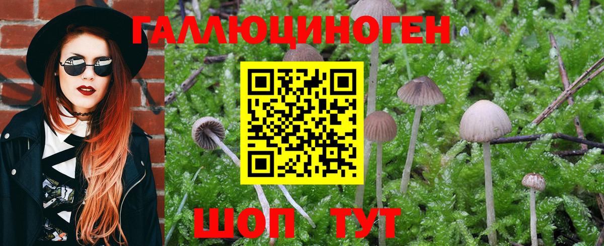 Галлюциногенные грибы Magic Shrooms  Вход с VPN  Псилоцибиновые грибы ЛСД  Боровичи 